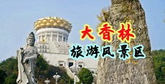 鸡巴福利视频中国浙江-绍兴大香林旅游风景区